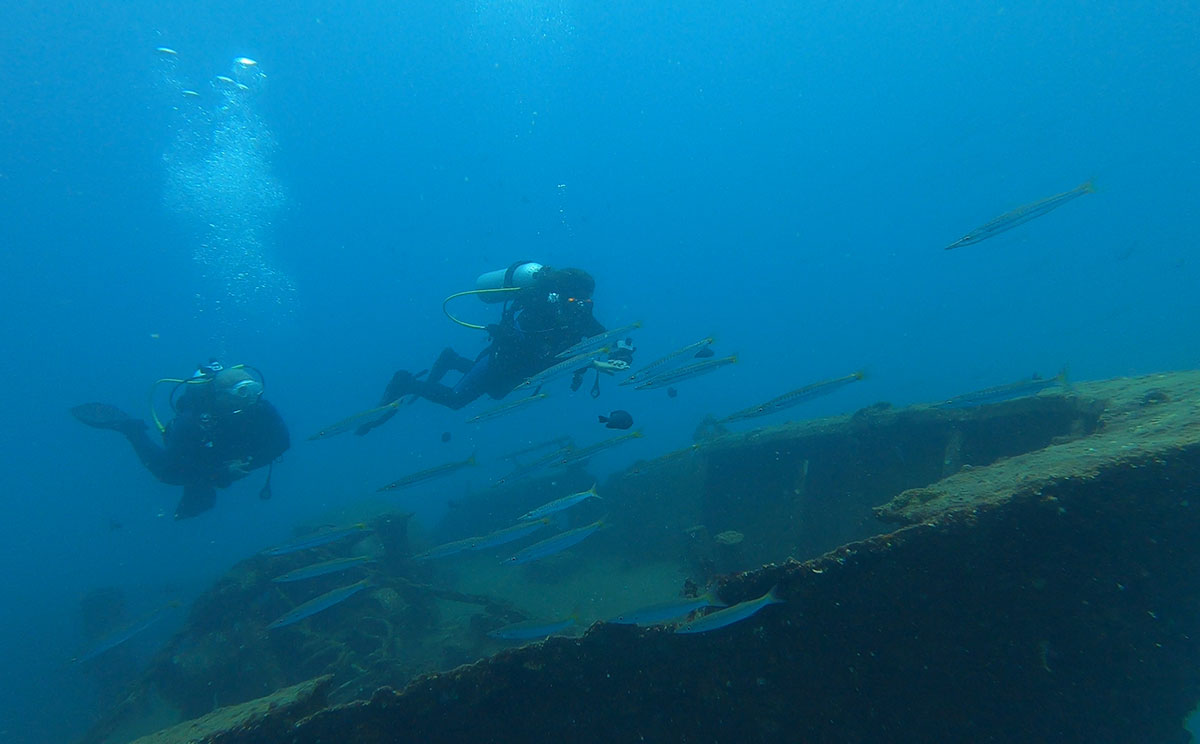 Ocean Plan 组织开展潜水导航电脑Navygator Pro分界洲岛潜水应用体验