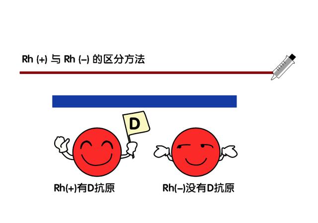 知道自己是什么型血,到底有多重要呢? 知道自己是什么型血,到底有多重要呢?