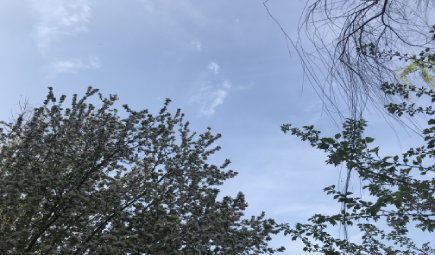 科技助力平安春运 消毒机器人价值凸显