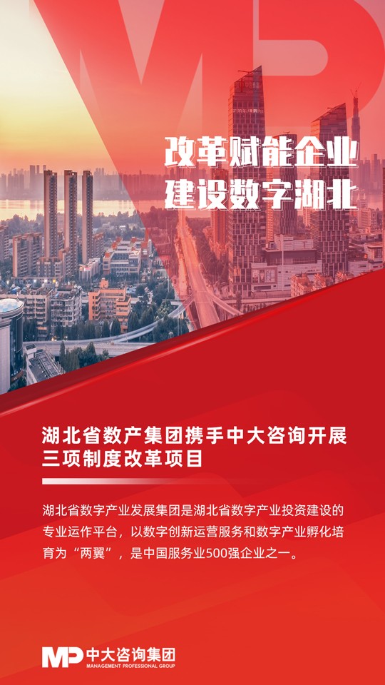 湖北省数字产业发展集团携手中大咨询开展三项制度改革项目