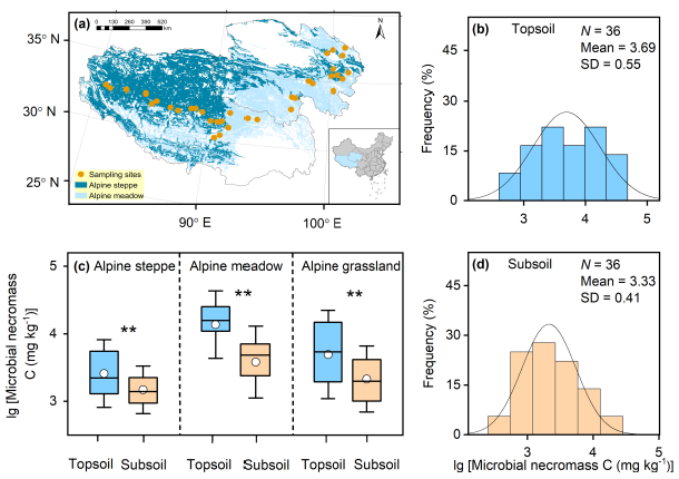 文献解读 | 青藏高原高寒草地土壤微生物残体碳的驱动者取决于土壤深度