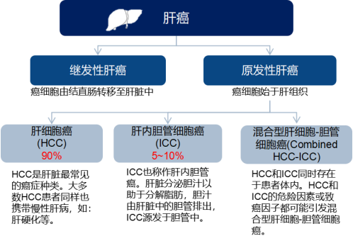 全球及中国肝癌药物行业重点企业市场竞争战略研究及市场规模增长率分析预测