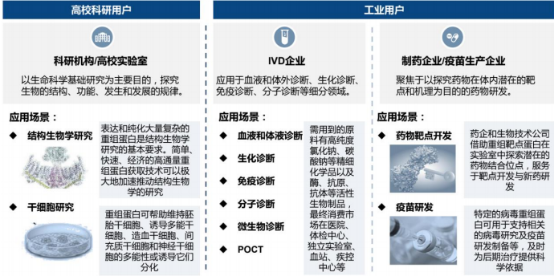 重组蛋白行业重点企业市场份额占比分析及细分应用市场规模研究预测