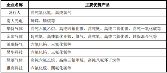 2022年电子特种气体行业投资战略可行性研究及重点企业市场份额占比分析   