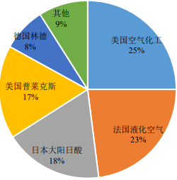 2022年电子特种气体行业投资战略可行性研究及重点企业市场份额占比分析   
