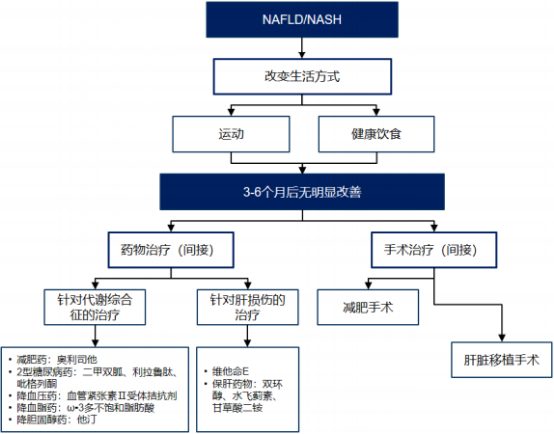 2022年非酒精性脂肪肝病治疗行业规模发展现状分析及投资战略研究预测
