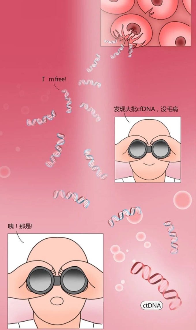为啥抽血的管子是五颜六色的?奇奇怪怪的知识又增加了 为啥抽血的管子是五颜六色的?奇奇怪怪的知识又增加了