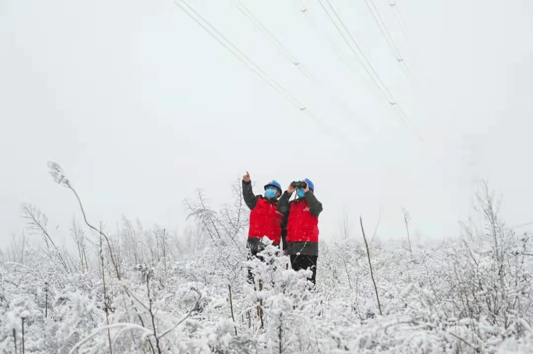 寒潮雨雪冰冻天 国网保驾护航每一天