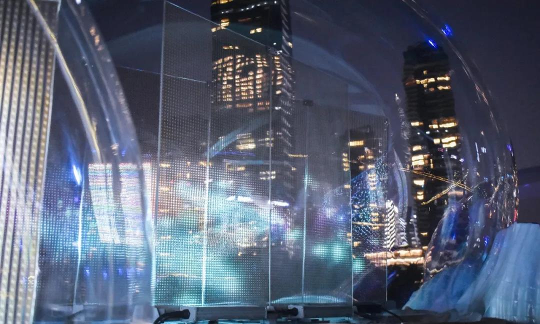 《无界·如鱼得水 》—2021深圳湾公共艺术季 《无界·如鱼得水 》—2021深圳湾公共艺术季