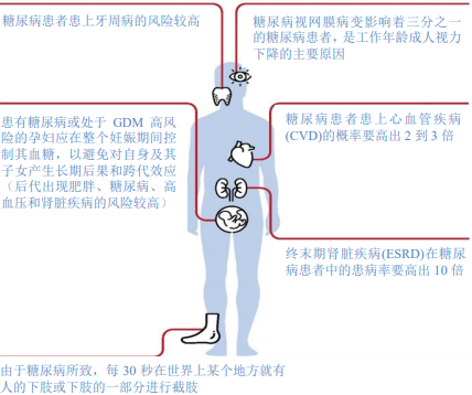 2022年糖尿病治疗药物市场全景监测调研分析预测及市场规模走势前景预测