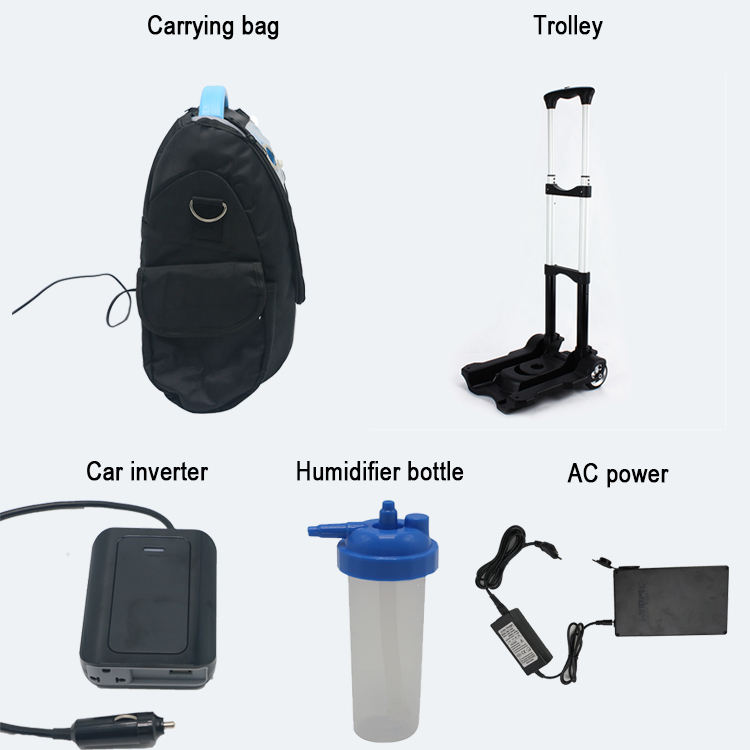 Portable Oxygen Concentrator