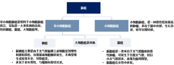2022年非小细胞肺癌靶向药行业市场盈利能力分析及需求规模增长率研究预测   