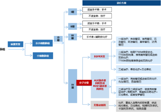 2022年非小细胞肺癌靶向药行业市场盈利能力分析及需求规模增长率研究预测   