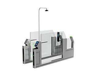 Inbound and outbound passenger self-service inspection system