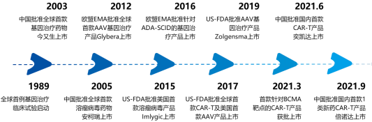 2022年全球及中国基因治疗行业重点企业竞争格局分析及市场发展态势预测