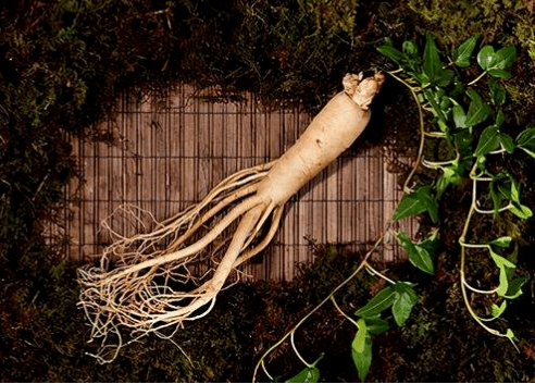 眼部护理喷雾OEM代加工——西安中天生物 眼部护理喷雾OEM代加工——西安中天生物
