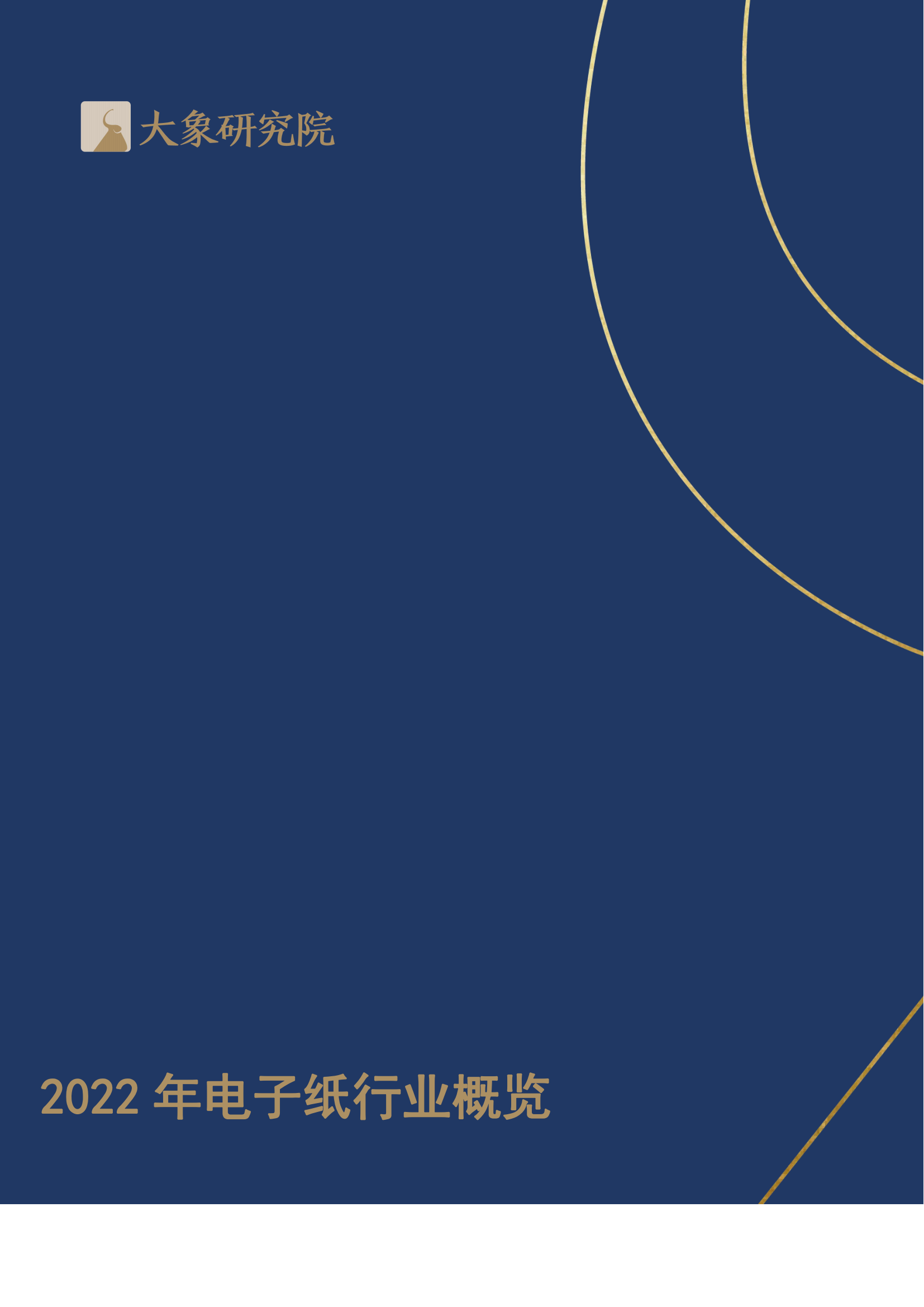 【大象研究院】2022年電子紙行業(yè)概覽