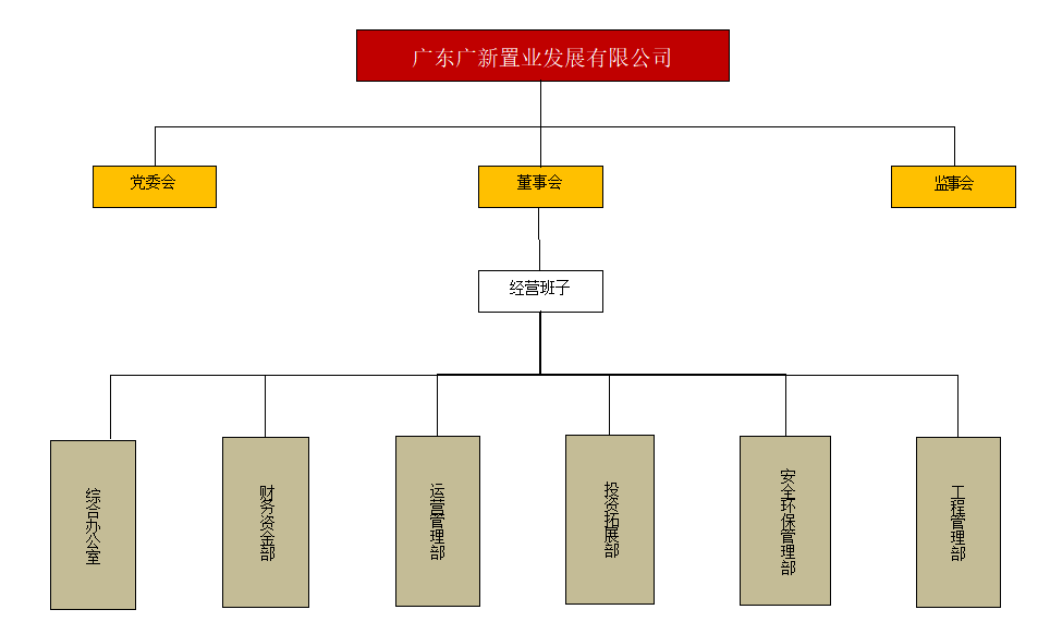 廣東廣新置業發展有限公司 廣東廣新置業發展有限公司