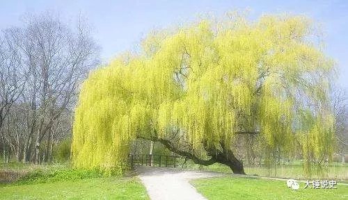 植树节特辑:古人为什么种树 植树节特辑:古人为什么种树