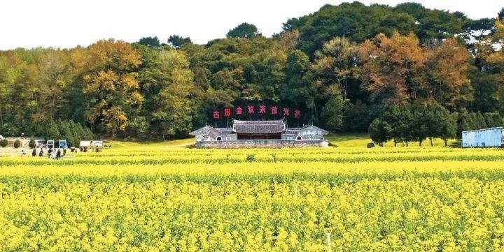 植树节特辑:古人为什么种树 植树节特辑:古人为什么种树