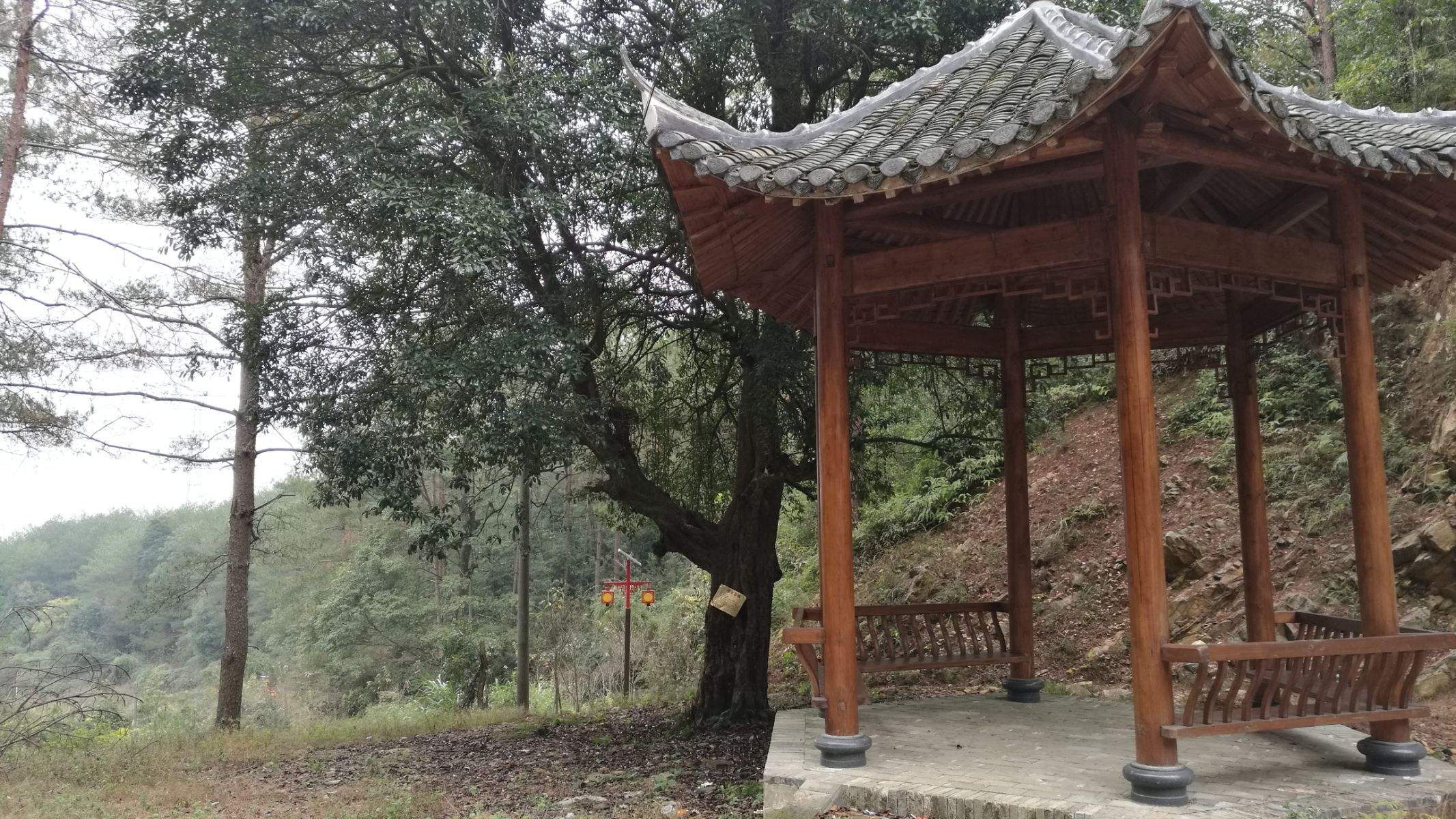 植树节特辑:古人为什么种树 植树节特辑:古人为什么种树