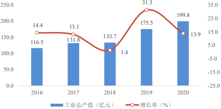 2022年医疗健康产业市场竞争战略规划指导及投资规模前景可行性评估预测