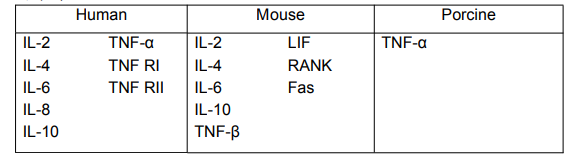 小鼠TNF-α ELISA试剂盒产品说明书