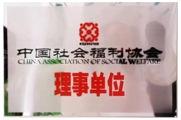 中国社会福利协会