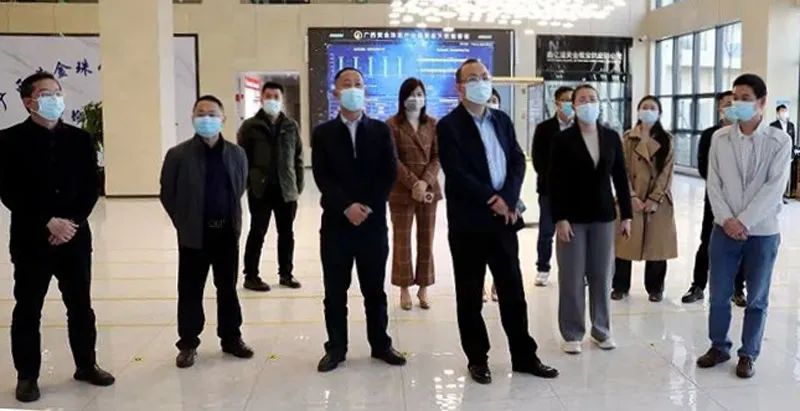 自治区稳增长工作调研组考察平桂 自治区稳增长工作调研组考察平桂