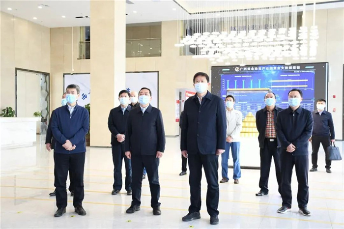自治区副主席费志荣考察广西黄金珠宝产业园 自治区副主席费志荣考察广西黄金珠宝产业园