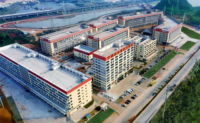 自治区副主席费志荣考察广西黄金珠宝产业园 自治区副主席费志荣考察广西黄金珠宝产业园