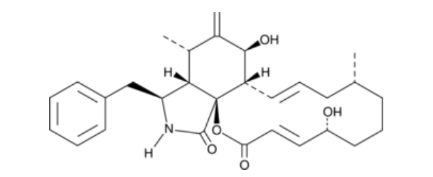 Cayman热销产品：细胞松弛素B（Cytochalasin B）Item No. 11328