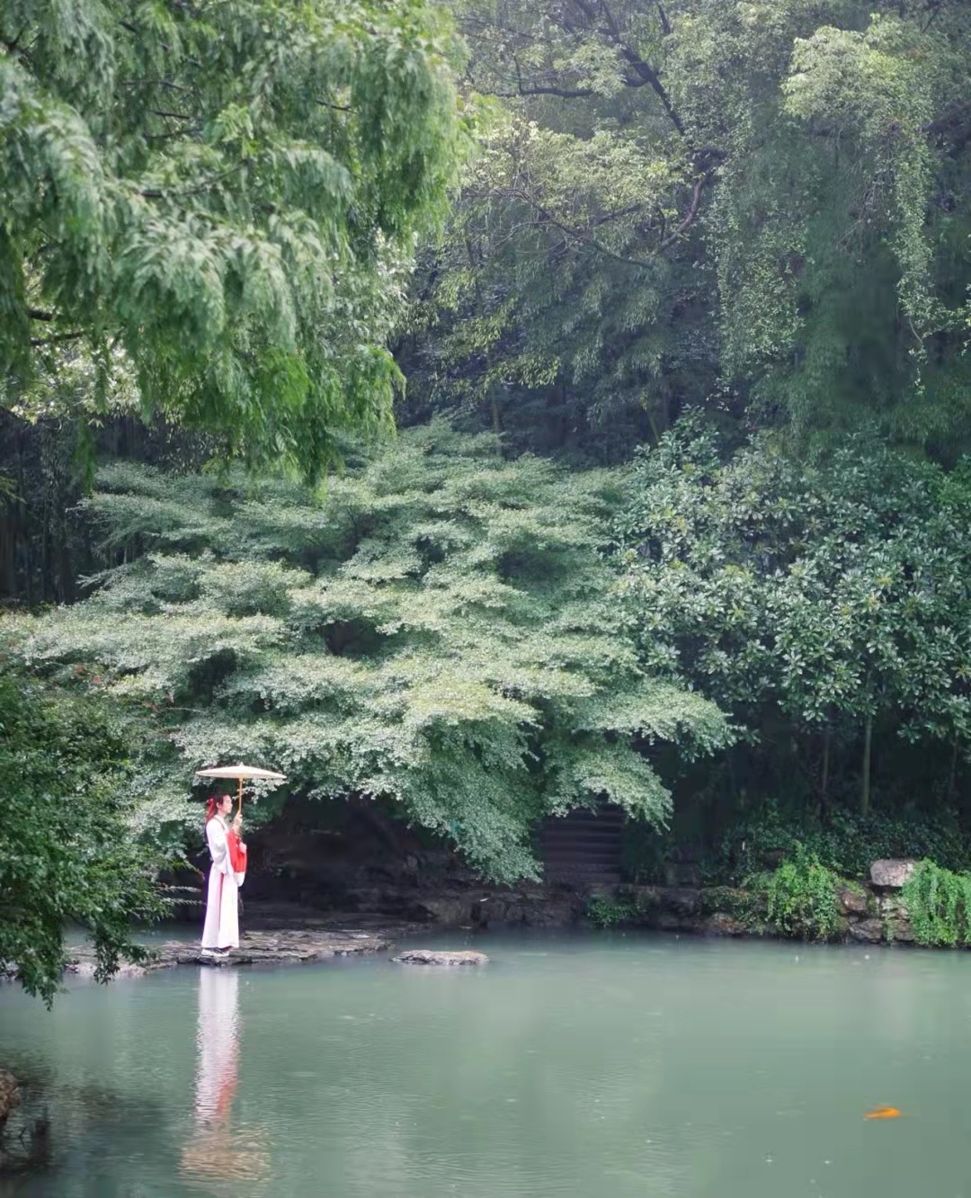 下雨天，鲜花和你最般配