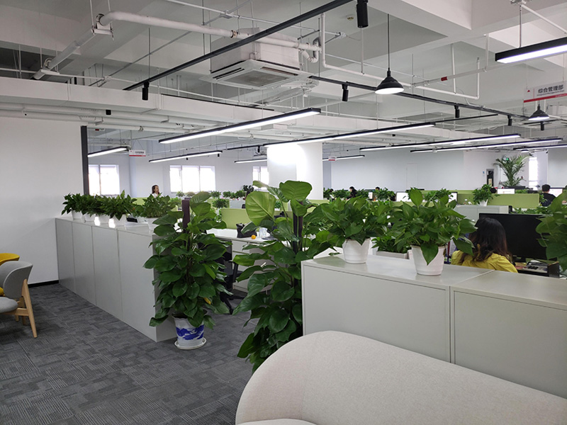 辦公室綠化植物擺放設計有哪些作用