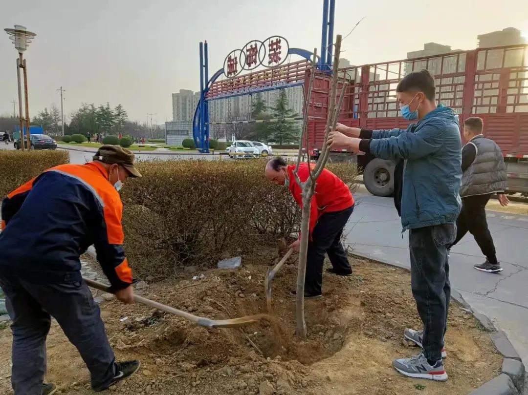 植树添新绿，不负好春光！集团广饶金田市场开展植树活动