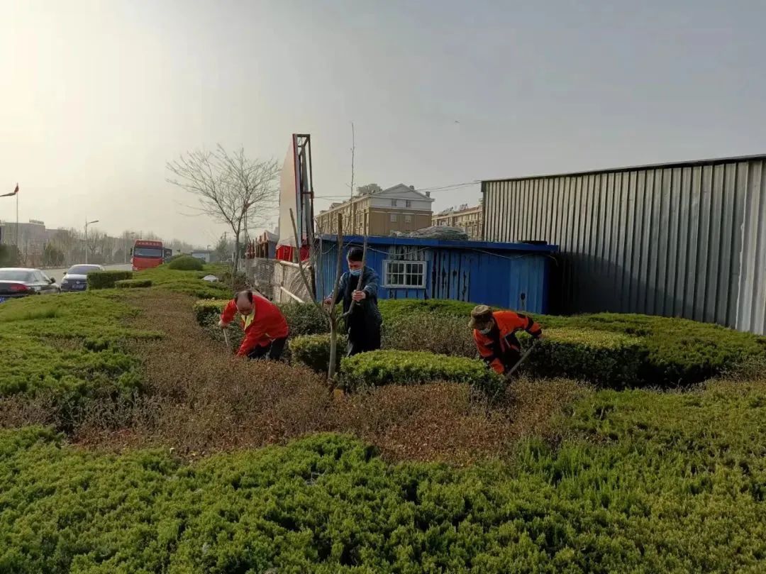 植树添新绿，不负好春光！集团广饶金田市场开展植树活动