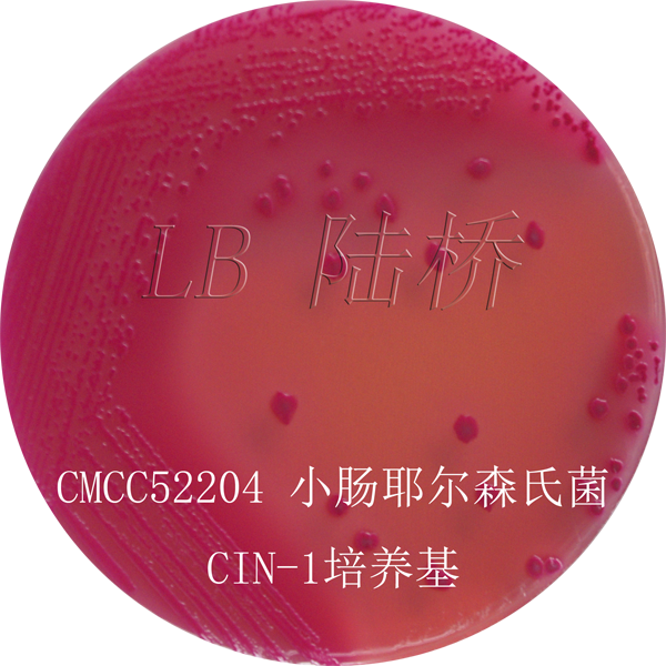 CIN-1培養(yǎng)基-小腸結腸炎耶爾森氏菌  