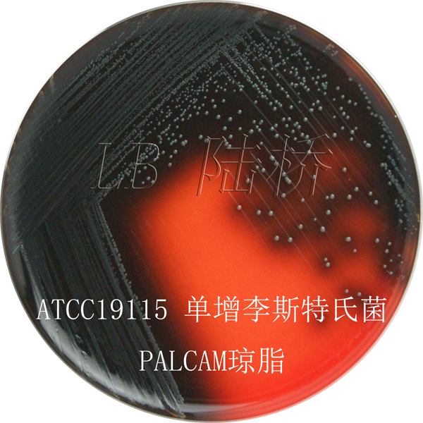 PALCAM瓊脂-單增李斯特氏菌