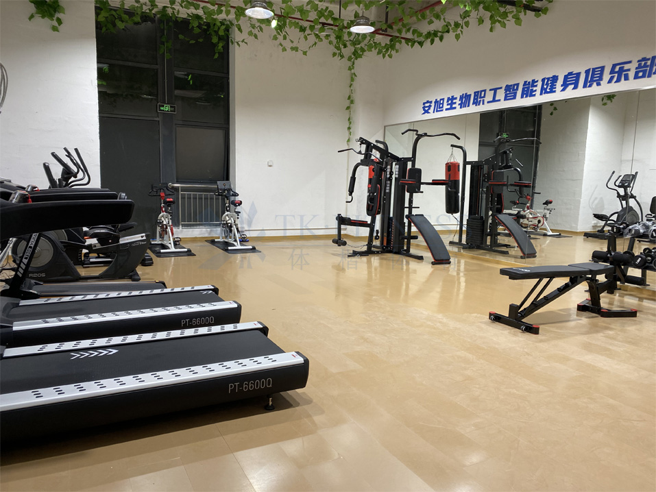 杭州跑步机未来社区健身器材实体专卖店