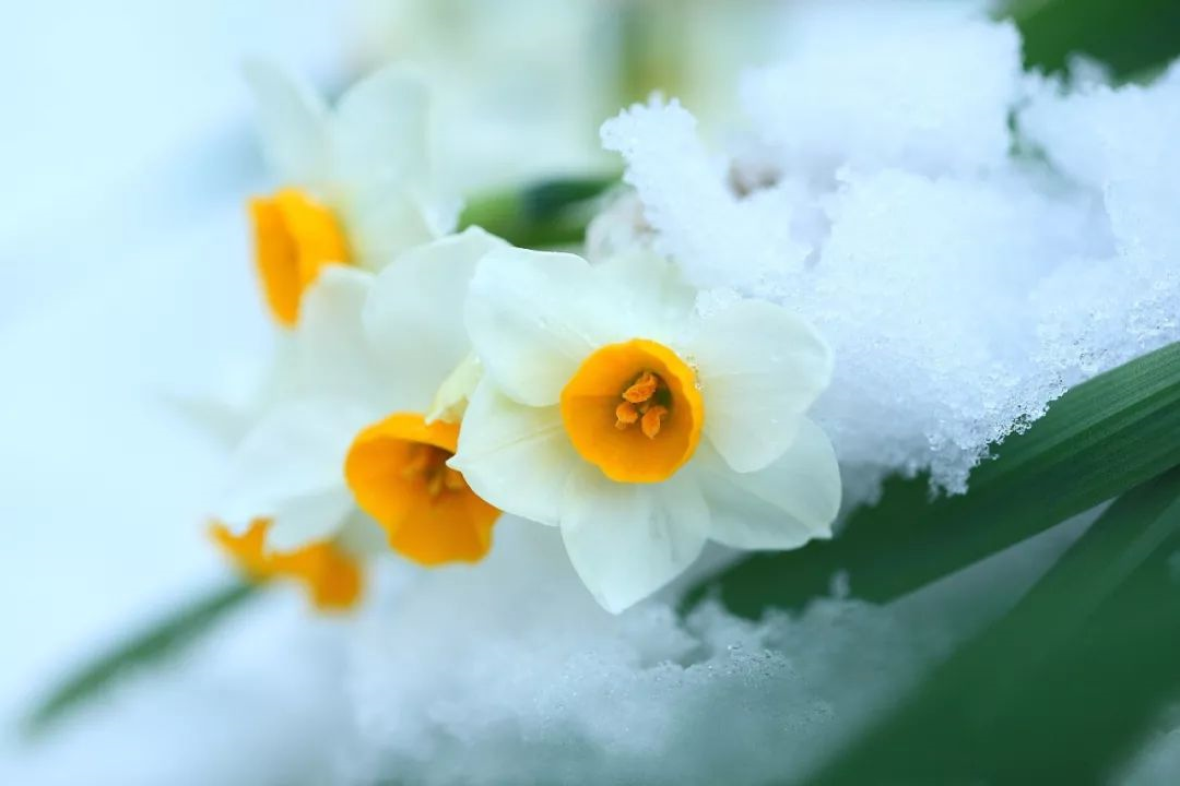 今日大寒 今日大寒