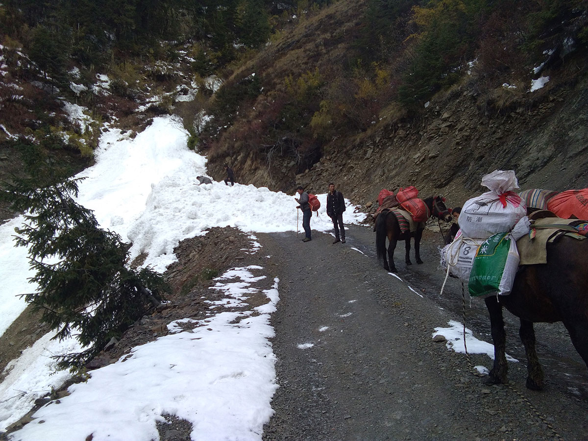 工程测量—西藏公路项目