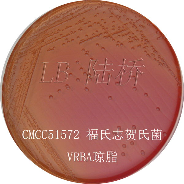 結(jié)晶紫中性紅膽鹽瓊脂（VRBA）- 福氏志賀氏菌