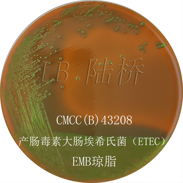 伊紅美藍(lán)瓊脂（EMB）-產(chǎn)腸毒素大腸埃希氏菌（ETEC)