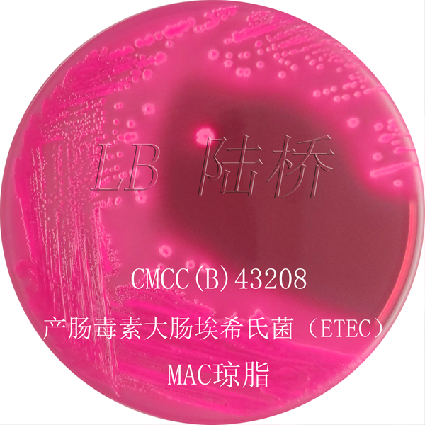 麥康凱瓊脂（MAC）-產(chǎn)腸毒素大腸埃希氏菌（ETEC)