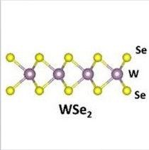 二硒化钨WSe2单晶薄膜