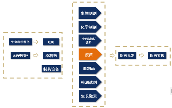 【產業(yè)鏈系列文章】醫(yī)藥產業(yè)鏈上市公司盤點之疫苗篇