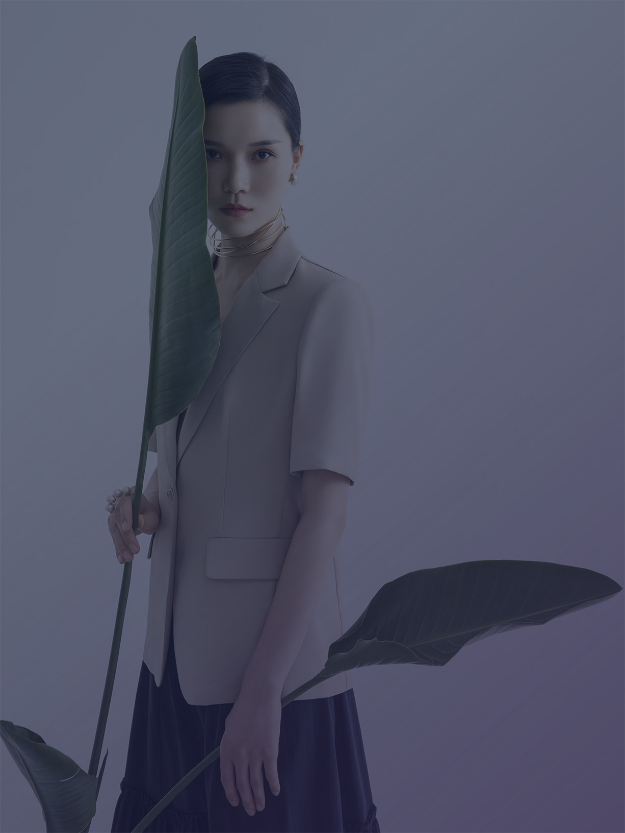 品牌故事 品牌故事
