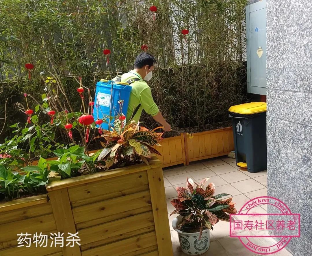 同心协力 共同抗疫 国寿社区养老爱国卫生运动这样做