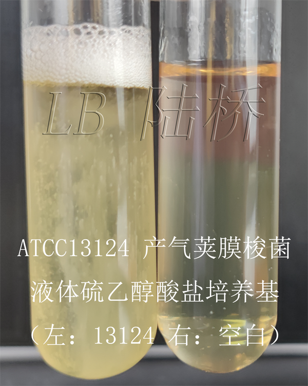 液體硫乙醇酸鹽培養(yǎng)基（FTG）-產(chǎn)氣莢膜梭菌