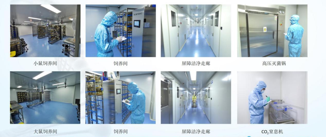 喜讯!浙江鹰旸医药研发有限公司获批《实验动物使用许可证》 喜讯!浙江鹰旸医药研发有限公司获批《实验动物使用许可证》